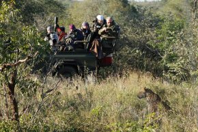 photographers-on-safari