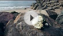 MIRBEK MILANA - Wedding video NYC - MarkaWedding.com